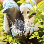 Biological-fungicide