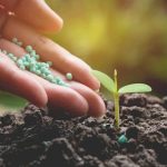 MAIN-PIC-740x470-1-150x150