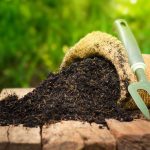 کود-بیولوژیک